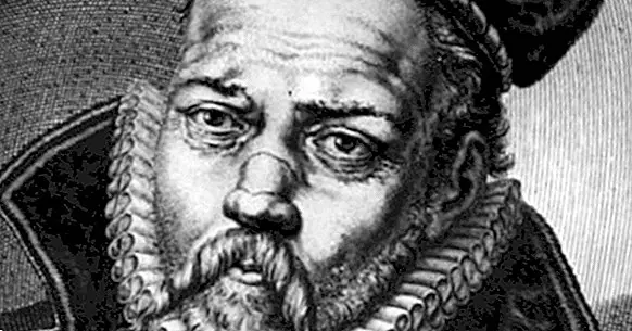 Tycho Brahe: biography of this astronomer