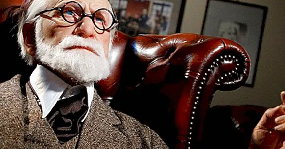 Sigmund Freud: kuulsa psühhoanalüütiku elu ja töö