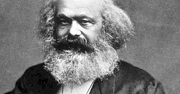 Karl Marx: tämän filosofin ja sosiologin biografia