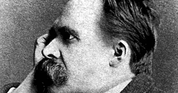 Friedrich Nietzsche: elävän filosofin elämäkerta