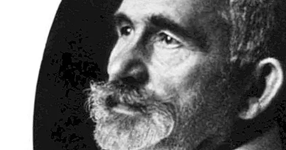 Emil Kraepelin: biografia deste psiquiatra alemão