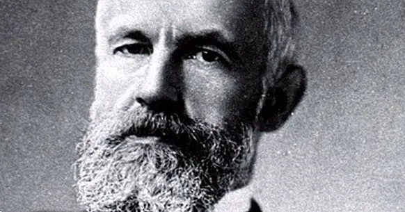 G. Stanley Hall: biografi og teori om grunnleggeren av APA