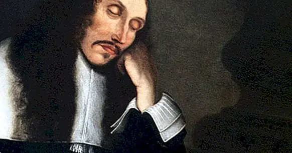Baruch Spinoza: biografie tohoto sefardského filozofa a myslitele
