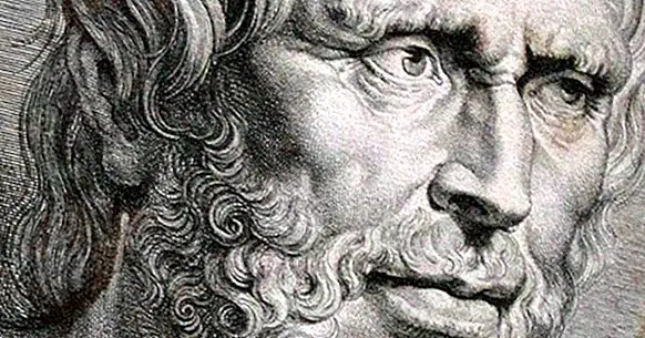 Seneca: biografi filsuf Stoic yang terkenal