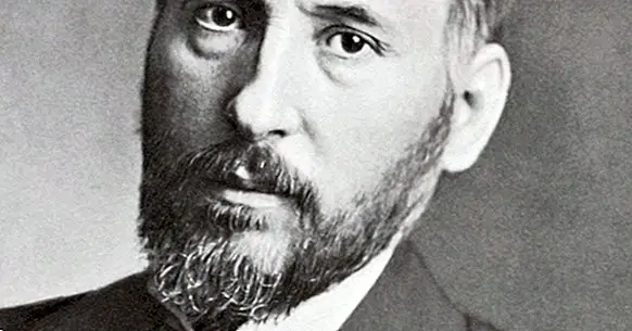 Santiago Ramón y Cajal: Biografi af denne pioner inden for neurovidenskab