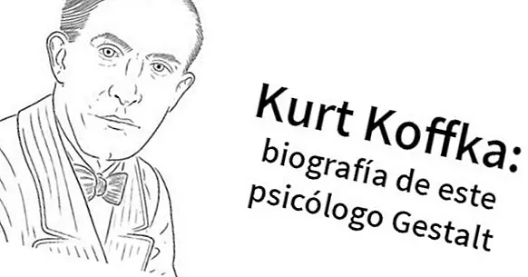 Kurt Koffka: biografia tohto gestaltového psychológa