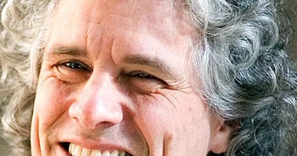Steven Pinker: biographie, théorie et principales contributions