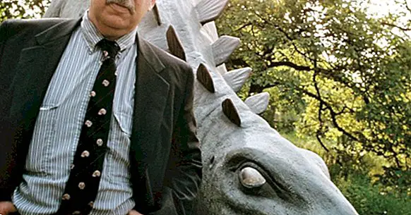 Stephen Jay Gould: biografija ovog paleontologa i evolucijskog biologa