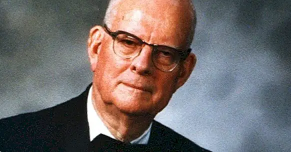 William Edwards Deming: biography of this statistician and consultant
