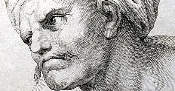 Averroes: biographie du père de la médecine actuelle