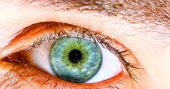 People with large pupils tend to be smarter