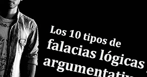 Os 10 tipos de falácias lógicas e argumentativas