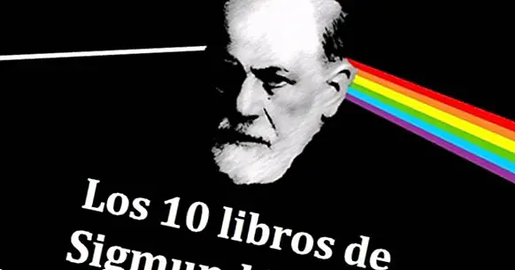 De 10 vigtigste Sigmund Freuds bøger