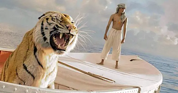 Life of Pi and 6 life lessons to apply from now