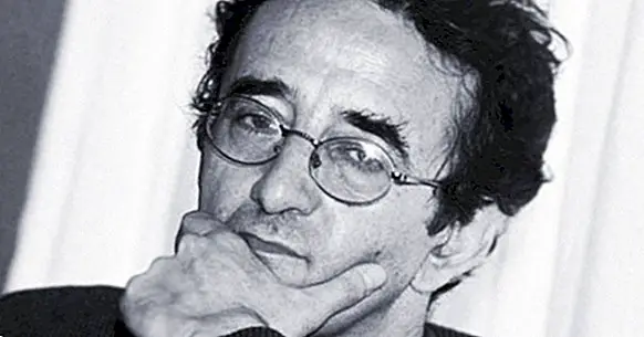 Die 10 besten Gedichte von Roberto Bolaño