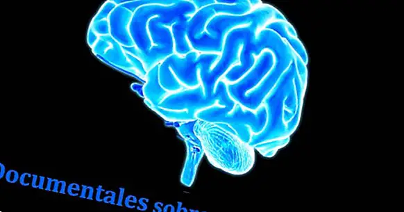 12 dokumentari mengenai neurosciences dan neuropsychology