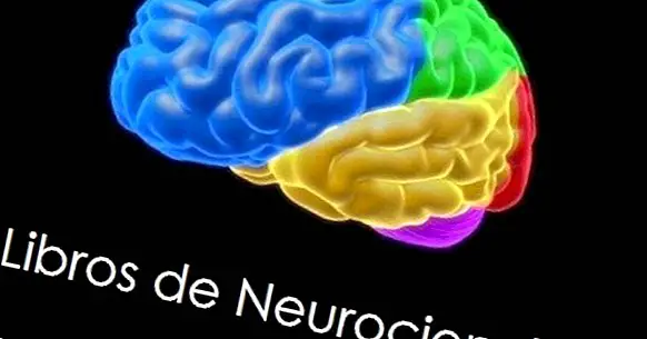 13 Neuroscience knihy pre začiatočníkov (vysoko odporúčané)