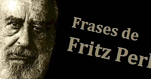 De 72 bedste citater om Fritz Perls