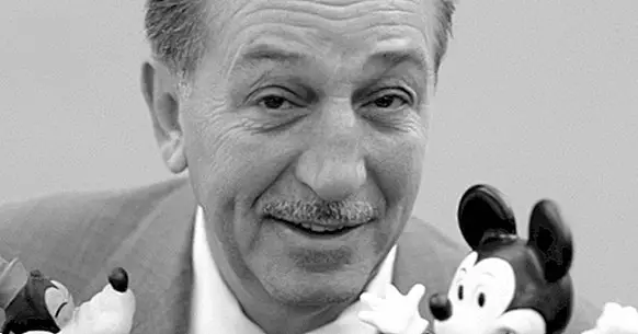 50 sætninger fra Walt Disney for at forstå hans vision om liv og arbejde