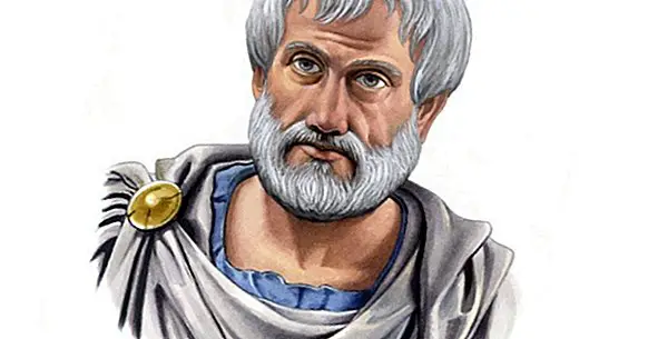 As 32 melhores frases de Tales of Miletus