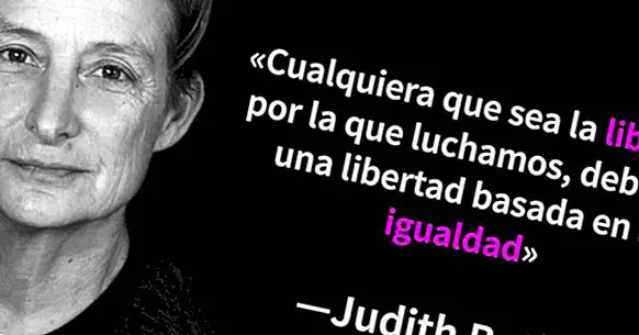 Les 18 meilleures phrases de la féministe Judith Butler