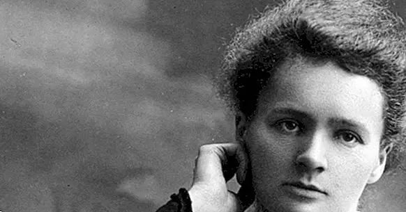 As 26 melhores citações de Marie Curie