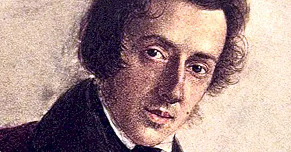 Najboljši 20 besed Frederika Chopina
