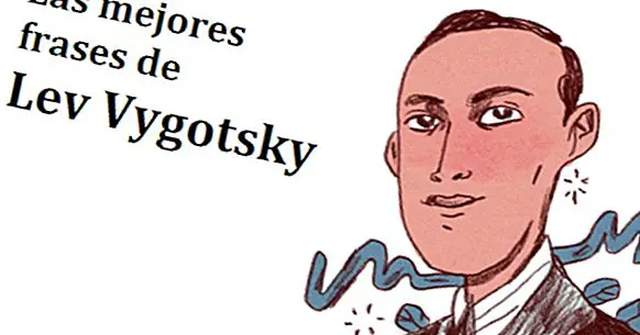 Les 45 meilleures phrases de Lev Vygotsky