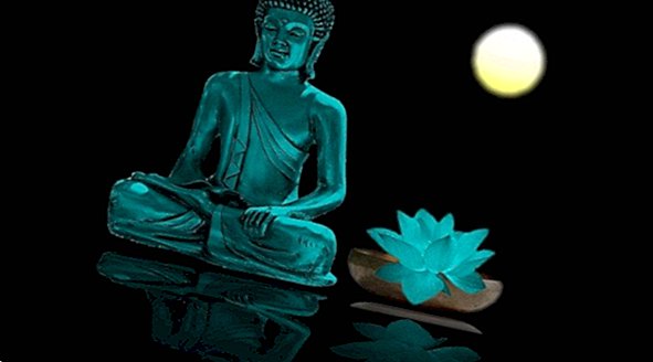 75 Frasi Buddiste Per Trovare La Pace Interiore Yes Therapy Helps