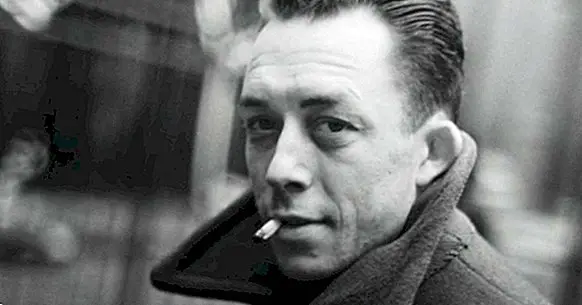 Les 90 meilleures phrases d'Albert Camus