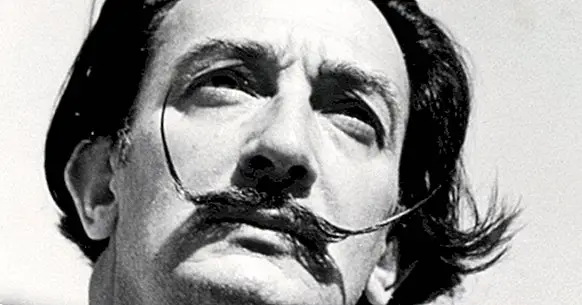As 78 melhores frases de Salvador Dalí