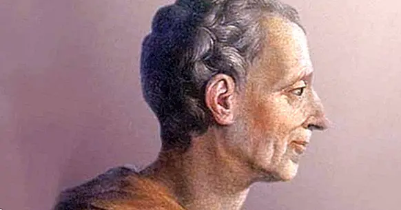 The 54 best quotes of Montesquieu