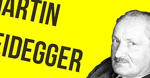 Les 20 meilleures phrases de Martin Heidegger