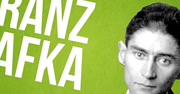 Les 21 meilleures phrases de Franz Kafka