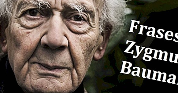 The 70 best sentences of Zygmunt Bauman