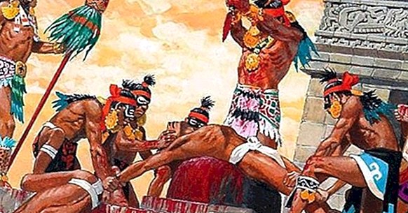 13 Sprichwörter der Azteken und ihre Bedeutung