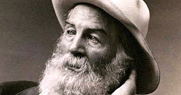 De 30 bedste sætninger af Walt Whitman
