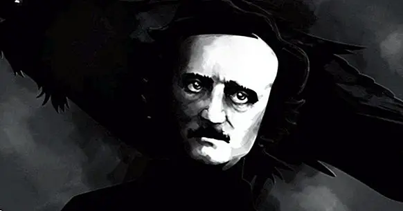 Les 23 meilleures phrases célèbres d'Edgar Allan Poe