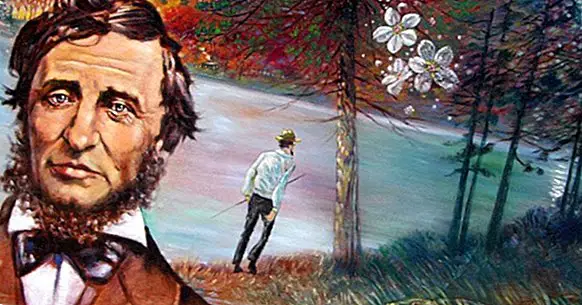 20 najlepších viet Henryho Davida Thoreaua