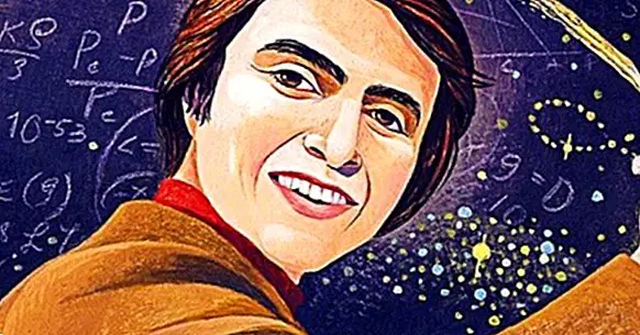 Οι 30 καλύτερες φράσεις του Carl Sagan (σύμπαν, ζωή και επιστήμη)