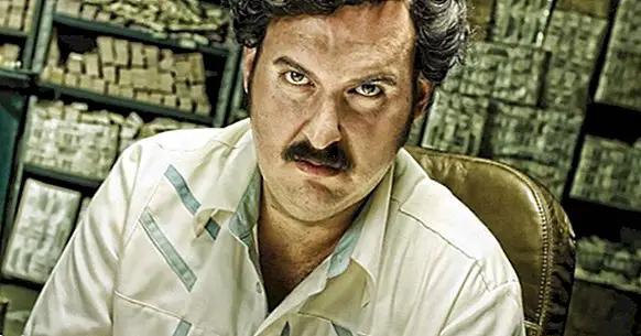 Les 30 meilleures phrases de Pablo Escobar, le plus célèbre trafiquant de drogue