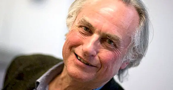 Les 65 meilleures citations de Richard Dawkins