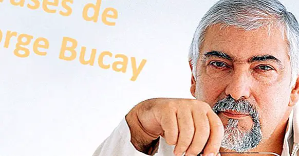 50 fraz, ki jih Jorge Bucay živeti življenje