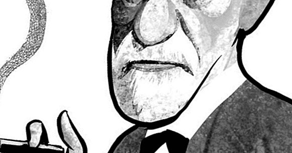 101-те най-добри фрази на Зигмунд Фройд и психоанализата