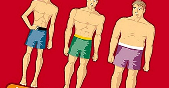 Os 7 tipos de corpo (ou somatotipos): o que são eles?