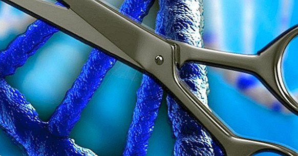 Sie können eine genetische Erkrankung durch Bearbeiten der DNA korrigieren