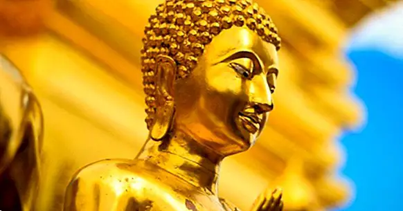 Qual é o elo entre o budismo e a atenção plena?