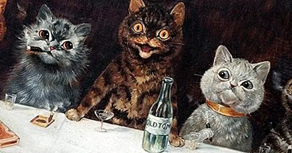 Луи Уайн и котки: изкуството, наблюдавано чрез шизофрения