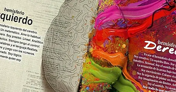 Brain hemispheres: myths and realities