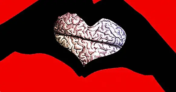 Невробиология на любовта: теорията на трите церебрални системи